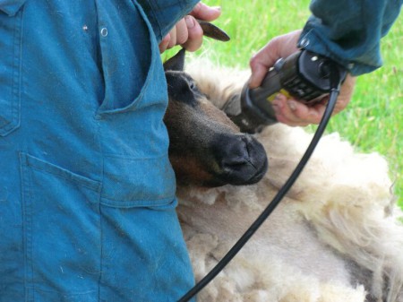 De Dassenkop is aan de beurt