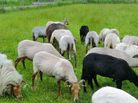 Laat de zomer maar komen, wij zijn er klaar voor